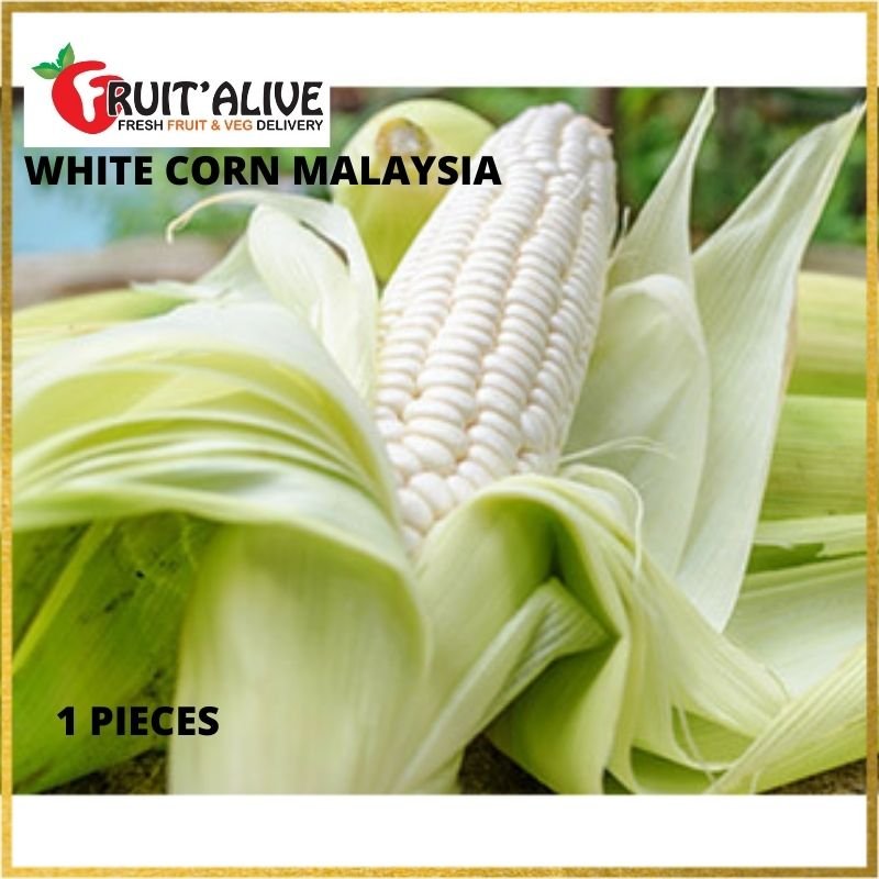 White Corn